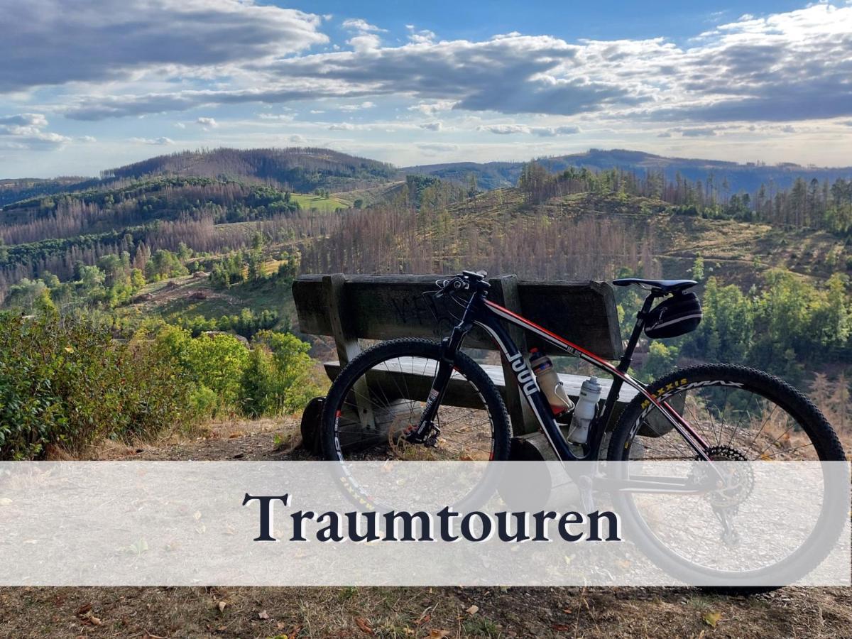 Apartment Pur Winterberg *